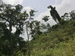 47954CIMG4291.JPG