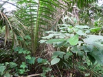 19905P1010755.JPG