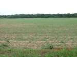 29505CIMG0821.JPG