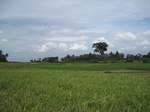 14583IMG_4950.JPG