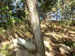 39371CIMG0523.JPG