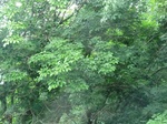 34823CIMG1475.JPG