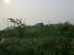 32896CIMG2035.JPG