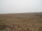 8538IMG_0364.JPG