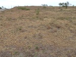 39284RETR20110907N.JPG
