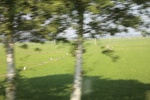 2024-08-05_14-31-45_02548E1E-3169-4FAE-8A50-4E571E47E087.jpeg