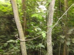 46762DSC02099.JPG