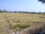 26487RIMG0346.JPG