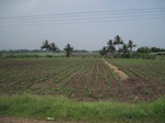 28281IMG_5052.JPG