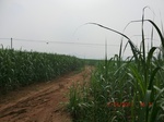33109CIMG2344.JPG