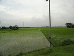 22076DSC00311.JPG