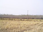3151 084.jpg