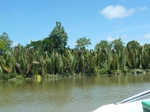 54686Bulungan (181).JPG