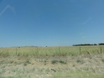 35036DSC01938.JPG