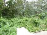 20042P1010893.JPG
