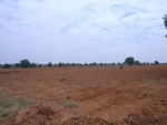 28060RIMG0115.JPG