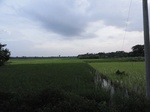 24590DSC00809.JPG