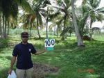 123850100c-irrigated-canal-sugarcane-dominant-rice-doublecrop.gif