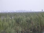 1393R0015146_small.jpg