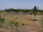 51843Tank ID 1800339 Hunasavadi 2.JPG