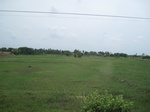 34367IMG_5281.JPG
