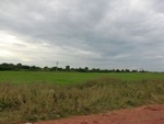55964CIMG6696.JPG