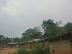 49931CIMG6268.JPG