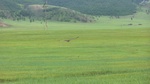 34060CIMG2251.JPG