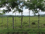 32011IMG_5544.JPG