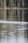 389IMG_3498.JPG