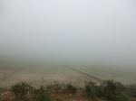 40302CIMG9045.JPG