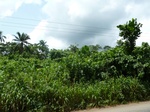 18228P1000064.JPG