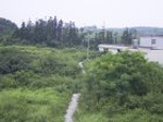 926R0015413_small.jpg