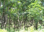 17500100_2755.JPG