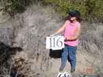 11028gt-116-wetland-dry-short-shrubs-grasses-02.jpg
