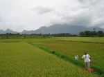 6367079a-irrigated-major-canal-and-tank-rice-coconut-fragment-doublecrop.jpg