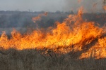 43322IMG_0924.jpg