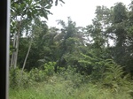 49592CIMG5929.JPG