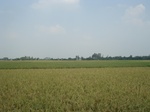 21858DSC08448.JPG