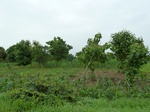 18738P1000576.JPG