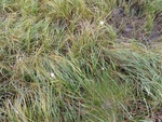 24933DSC00040.JPG