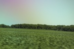 2024-06-17_21-39-29_3B3A2CEF-5AF9-4408-A4F6-3612592DF766.jpeg