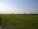 28088RIMG0143.JPG