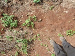 20131P1010982.JPG