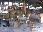 31845IMG_5437.JPG
