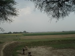 21894DSC08489.JPG