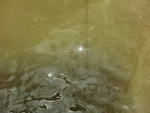 58095CIMG2389.JPG