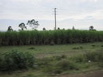 32187Picture 886.jpg