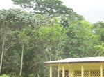 48881CIMG5218.JPG
