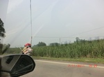 32734CIMG1866.JPG